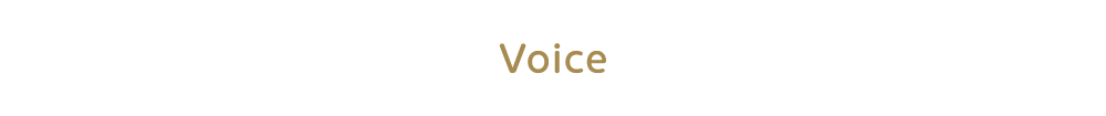 Voice